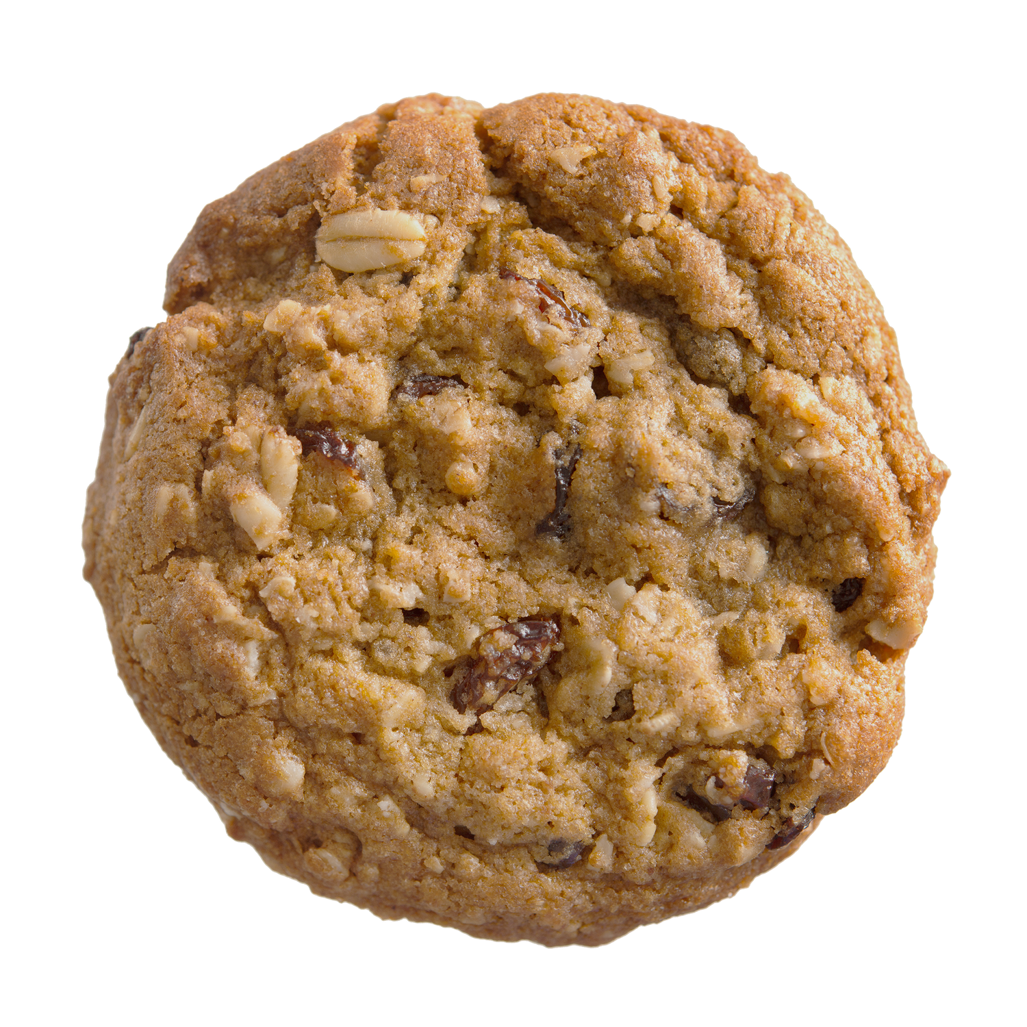 Soft-baked gluten-free oatmeal raisin cookie with cinnamon and oats